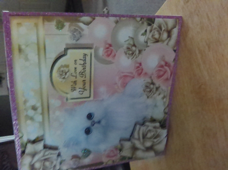 Dewdrops on Roses - Kitten Delight by Mary Lynn Cox