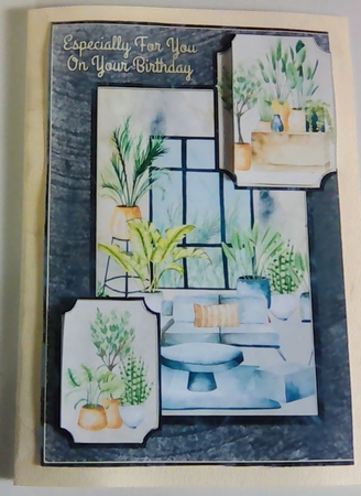 Houseplant Heaven by Mary Lynn Cox