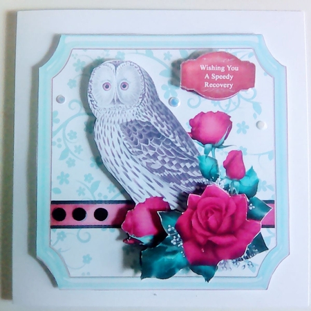Owl and Roses by Mary Lynn Cox