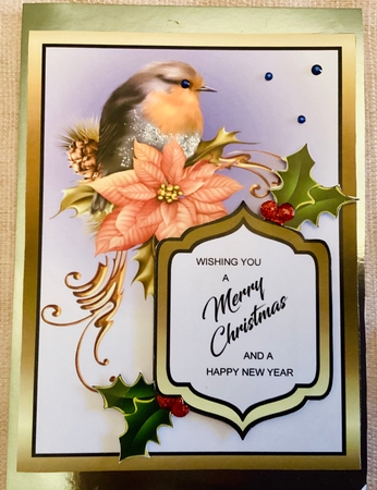 Robin card front by Mary Lynn Cox
