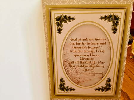 A5, Beautiful Card and Insert 3 by Mary Lynn Cox