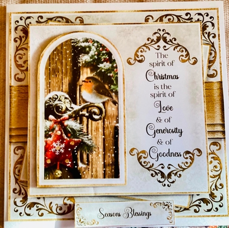 Arched Window Robin No.4 by Mary Lynn Cox