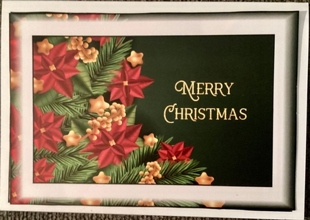 Simple A5 Christmas 4 by Mary Lynn Cox