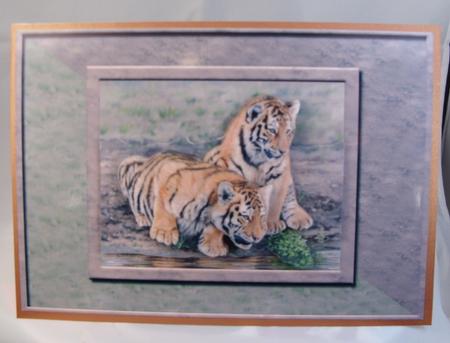 Tiger Cubs Card Front by Mary Mc Bride