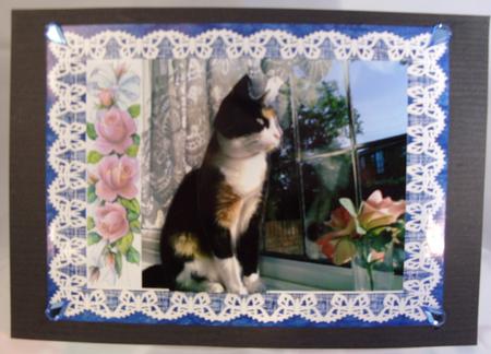Katy Cat in the Window with Roses Step by Step Card Birthday by Mary Mc Bride