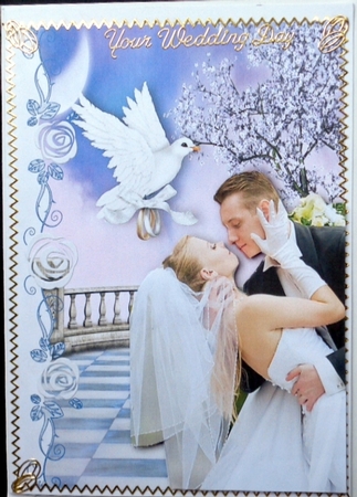Darling! I Love You, Wedding Couple with Dove by Mary Murphy