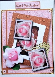 Pink Rose Greetings by Mary Murphy