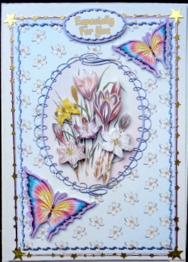 Spring Flowers & Butterflies by Mary Murphy
