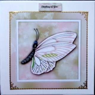 Beautiful Butterfly in Pink by Mary Murphy