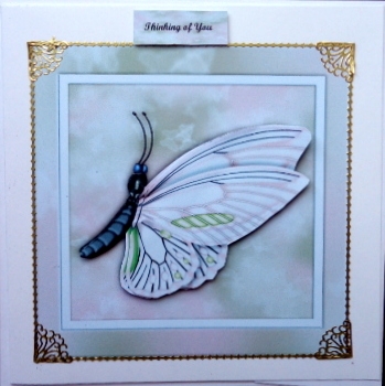 Beautiful Butterfly in Vintage Bleu by Mary Murphy