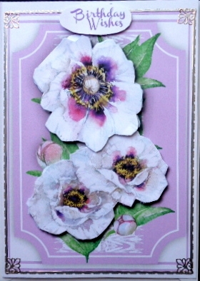 Lovely Lilac and White Peonies  by Mary Murphy
