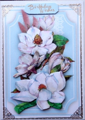Lovely Wqater Colour Magnolias on Lace by Mary Murphy