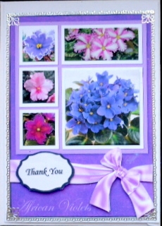 African Violets Collage Card by Mary Murphy