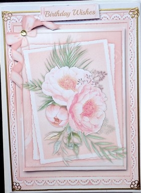 Beautiful Pink roses on a Double mat  by Mary Murphy