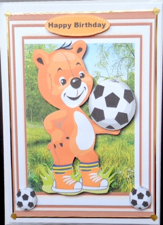 Little Bear the Footballer by Mary Murphy