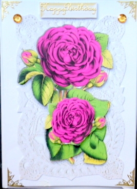 Pretty pink roses on old ecru  lace  A5 by Mary Murphy