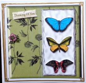 Butterfly Magic by Mary Murphy