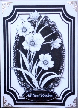 Beautiful Monocrome Flowers on Black Lace  by Mary Murphy