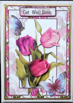 occasion tulips by Mary Murphy