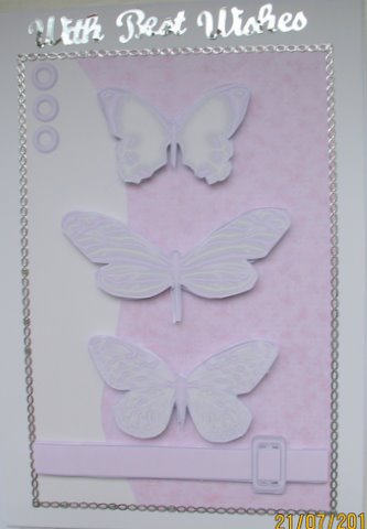 Pastel Butterflies by Mary Murphy