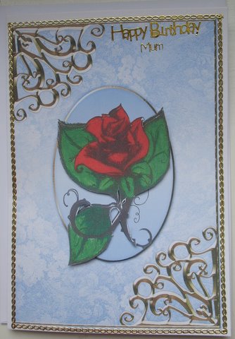 Red Rose for Mummy Featured Gallery Photo