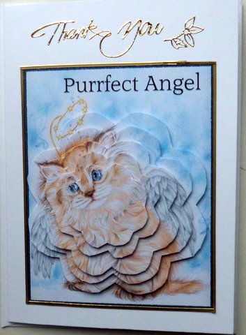 Cute Angel by Mary Murphy
