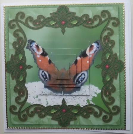 Butterfly Birthday Card Front by Mary Murphy