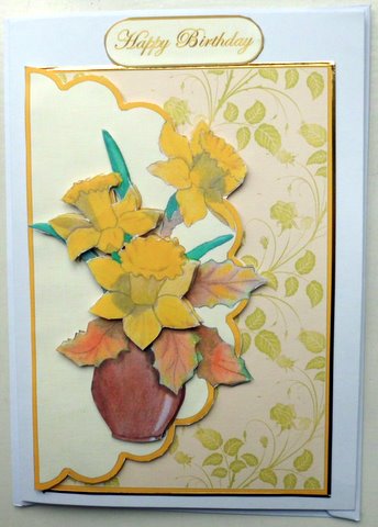 Spring Daffs by Mary Murphy