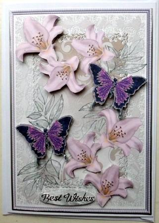 Butterflies and Lillies -  by Mary Murphy