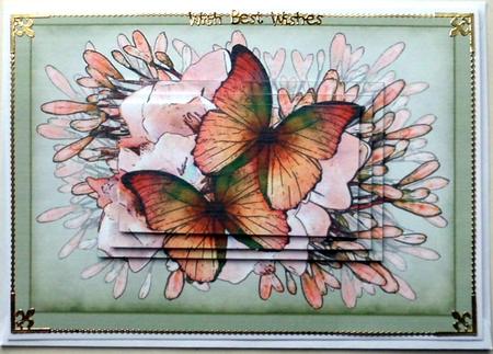 A5 Butterflies N Flowers Pyramage Topper by Mary Murphy