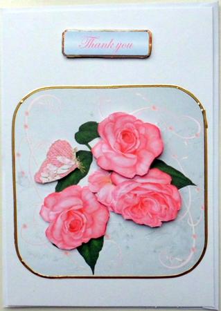 Fresh Pink Roses by Mary Murphy