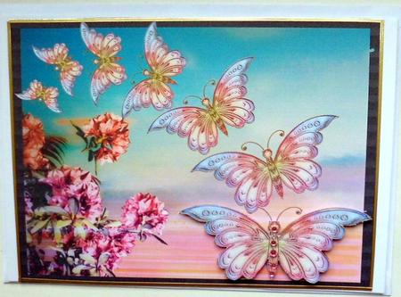 Butterfly Trail by Mary Murphy