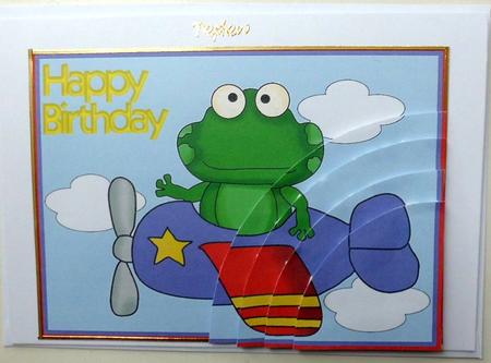 Frog in Purple 'plane by Mary Murphy