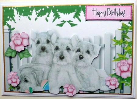 Cute Terriers with Pink Roses in the Garden by Mary Murphy
