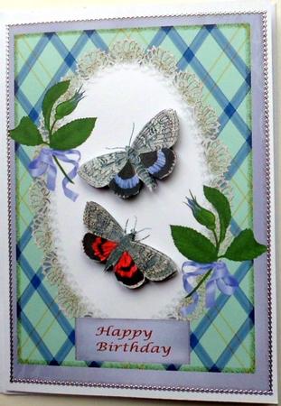 Butterflies,best Wishes,birthday Wishes by Mary Murphy