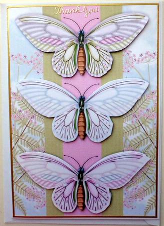 Butterfly Birthday / Any Occasion Card Front by Mary Murphy