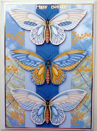 Butterfly Birthday Card Front or Any Occasion by Mary Murphy