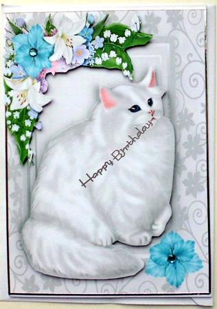 Beautiful White Persian Cat in Flower Frame by Mary Murphy