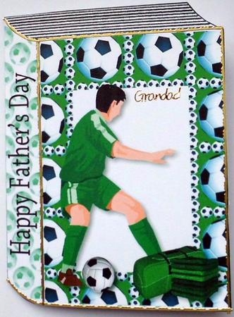 Football Mad for Fathers Day Folded Book by Mary Murphy