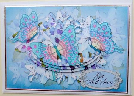 A5 Get Well Soon Flowers & Butterfly Oval Pyramage Topper by Mary Murphy