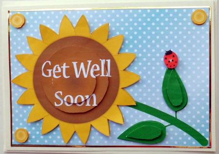 Flower and Ladybird Get Well Soon by Mary Murphy