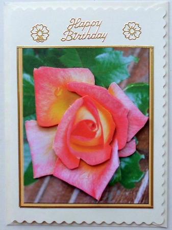 Coral Rose Decoupage by Mary Murphy