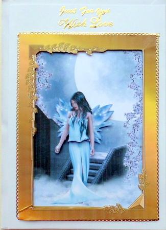 Moonlight Fairy by Mary Murphy