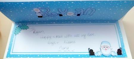 Xmas Ryan Matching Large Dl Insert by Mary Murphy