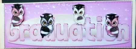Owl Graduation Long Quick Card by Mary Murphy