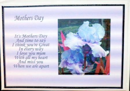 Irisis for Mum by Mary Murphy