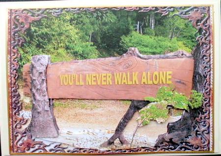 You'll Never Walk Alone by Mary Murphy