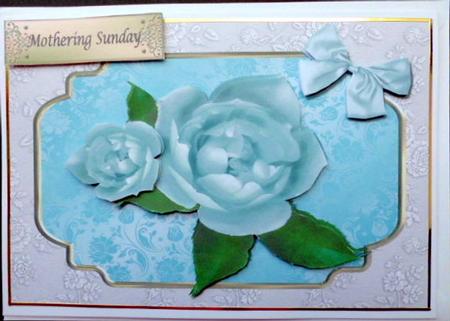 Lovely Light Blue Rose by Mary Murphy