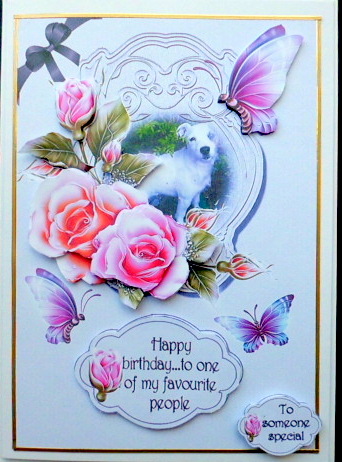 Pets and Petals by Mary Murphy