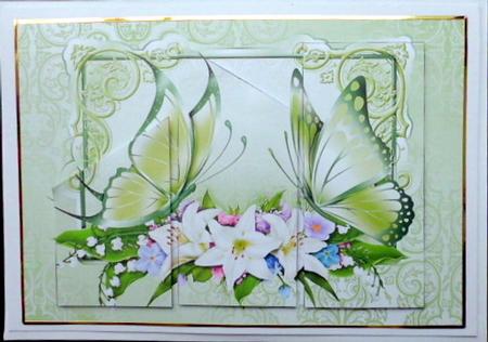 Butterflies and Flowers Quick Card by Mary Murphy